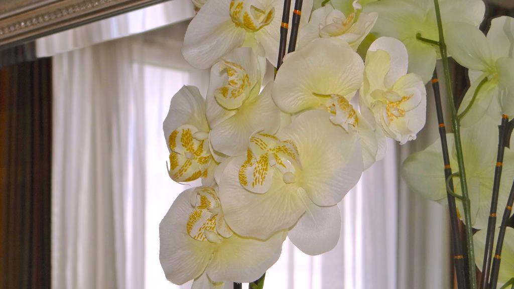 Jessamine House Hotel Gravesend Ngoại thất bức ảnh